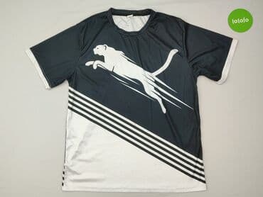 спортивні костюми чоловічі польща: Puma, Футболка для чоловіків, розмір L — 2