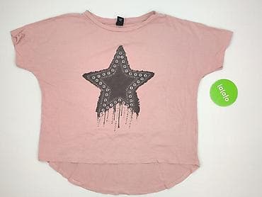 hollister: Bluzka damska, rozmiar 6XL — 2