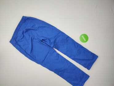 jeansy damskie podarte: BRAX, Material trousers for women, size L (EU 40) — 3