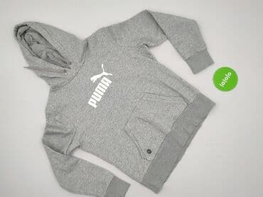 polo bear sweter: Puma, Bluza z kapturem damska, rozmiar XL — 2