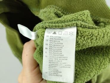 koszulka z labradorem: Sweatshirt, H&M, 3-4 years, 98-104 cm, condition - Very good — 6