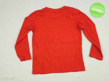 lidl koszulka termiczna: Sweatshirt, Little kids, 5-6 years, 110-116 cm, condition - Very good — 3