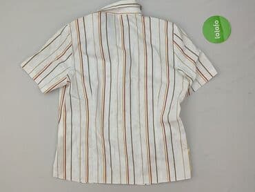 koszula wiya w paski: ERFO, Bluzka damska, M — 3