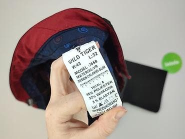 pull and: Tiger, Chinosy dla mężczyzn, rozmiar L — 5