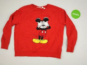 koszulka stich h: H&M, Women`s sweatshirt, size 3XL (EU 46) — 2