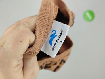 horry bluza: Bluza damska
, rozmiar S — 4