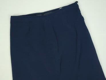 niebieska spódnice plisowane: Spódnica damska, 3XL — 1