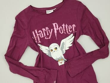 koszula flanelowa lidl: Blouse, Harry Potter, 14 years, 158-164 cm, condition - Very good — 1