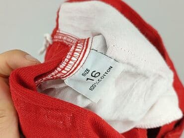 obcisłe krótkie spodenki: Szorty damskie, rozmiar XL — 5