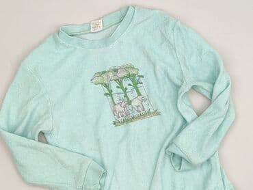 bielizna termoaktywna smartwool: Sweatshirt, 5-6 years, 110-116 cm, condition - Very good — 1