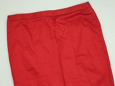 Worthington, Women`s skirt, size XL