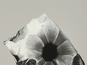 papaya ubrania sukienki: Papaya, Bluzka damska, rozmiar L — 6