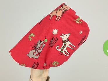 ubrania z jamnikiem: Sinsay, T-shirt damski, rozmiar M — 6