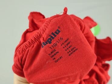 sukienka w paski h: Dress, Lupilu, 5-6 years, 110-116 cm, condition - Very good — 4