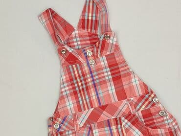 rajstopy z kotkiem: Dungarees 2-3 years, 92-98 cm, condition - Perfect — 1