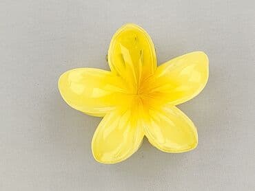 Hair clip, Unisex, condition - Perfect