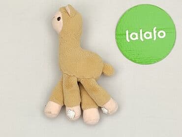 skarpety cat lidl: Maskotka — 2