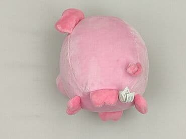 sukienka z jednorożcem h: Mascot Pig, condition - Perfect — 3