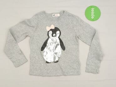 koszule wzorzyste: Sweatshirt, H&M, 5-6 years, 110-116 cm, condition - Very good — 2