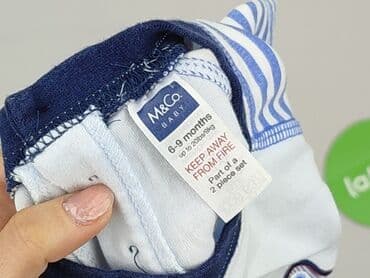 koszulka z c a: Koszulka, M&Co, 6-9 miesięcy, stan - Idealny — 6