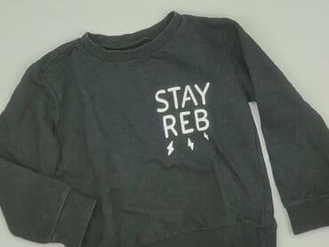 jedwabna kurtka dżokeja: Sweatshirt, Fox&Bunny, 5-6 years, 110-116 cm, condition - Very good — 1