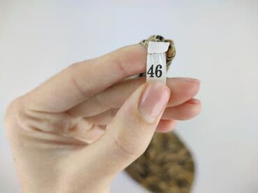 allegro sukienki damskie midi: Sukienka damska, rozmiar 3XL — 4