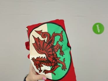 jeremy sochan koszulka polska: Bluzka, 12 lat, 146-152 cm, stan - Idealny — 6