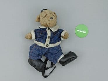 lidl torba termiczna: Рюкзак, стан - Ідеальний — 2
