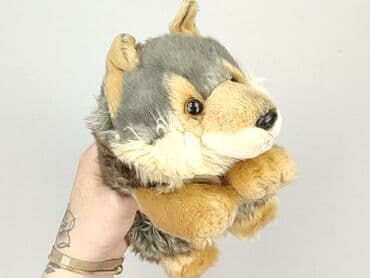 koszulka z wilkiem dla dzieci: Mascot Dog, condition - Perfect — 3