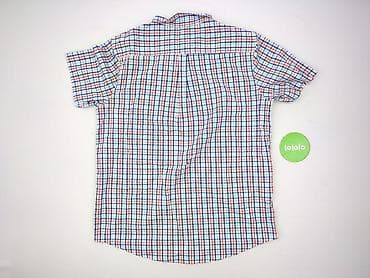 willsoor: Tom Rose, Koszulа dla mężczyzn, rozmiar 2XL — 3