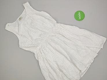 palion star: Papaya, Sukienka damska, rozmiar 2XL — 2