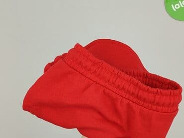 pepco szorty: Primark, Szorty damskie, rozmiar L — 7