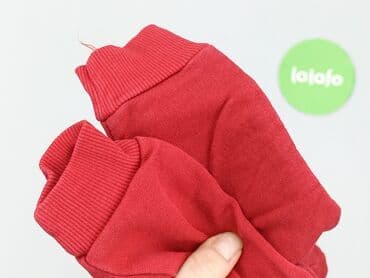 h: Sweatpants, 3-6 months, condition - Very good — 5