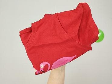 gwiazda: Guess, T-shirt damski, rozmiar S — 4