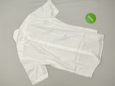 coccodrillo podkoszulki: BORGIO, Koszulа dla mężczyzn, rozmiar M — 3