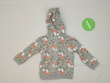 lidl tshirt: Bluza, Lupilu, 6-9 miesięcy, stan - Idealny — 3