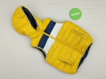 kamizelka nerf allegro: Kamizelka, Little kids, 5-6 lat, 110-116 cm, stan - Bardzo dobry — 2