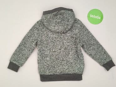 podkoszulki allegro: Sweatshirt, Little kids, 3-4 years, 98-104 cm, condition - Very good — 3