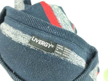 kurtka wiosenna lidl: Livergy, Sweter dla mężczyzn, M — 5