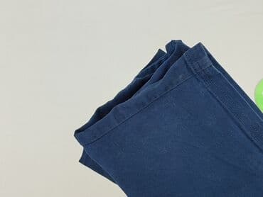 niebieska spódnice plisowane: Spódnica damska, XL — 5