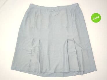 srebrne plisowane spódnice: Spódnica damska, rozmiar 5XL — 2