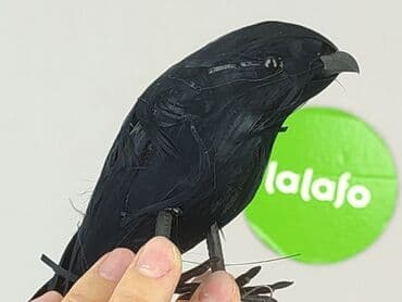 Home Decor: Figurine, condition - Perfect — 4