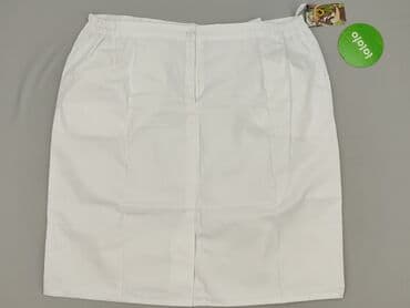 spódnice dla pań puszystych: Spódnica damska, rozmiar 5XL — 4