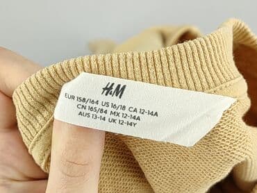 czapki pepe jeans: Sweatshirt, H&M, 14 years, 158-164 cm, condition - Perfect — 4