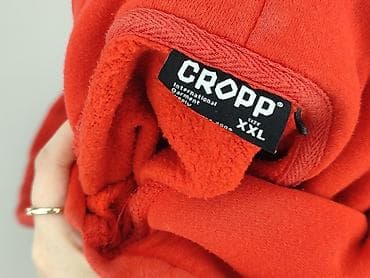 marynarka zara basic: Cropp, Bluza z kapturem dla mężczyzn, rozmiar 2XL — 5