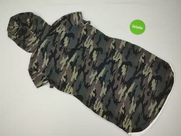 dres sweterkowy mohito: Women`s hoodie, XL at lalafo.pl — 3 dres sweterkowy mohito: Women`s hoodie, XL — 3