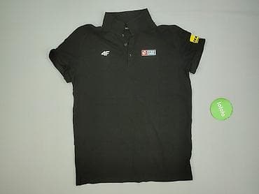 chicaca dresy: 4F, Koszulka polo dla mężczyzn, rozmiar 2XL — 2