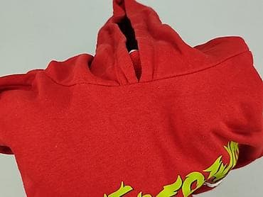 bluzy strong ekipa: Cropp, Bluza z kapturem damska, rozmiar L — 6