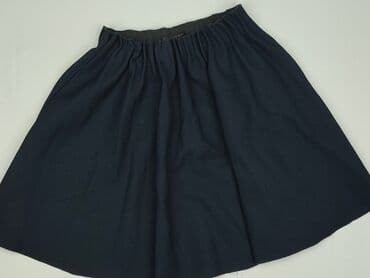 Zara, Women`s skirt, size M