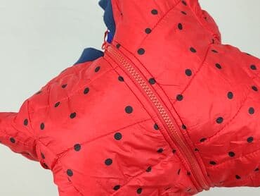 sukienki na wesele dla 12 latki: Kurtka przejściowa, Lupilu, 4-5 lat, 104-110 cm, stan - Bardzo dobry — 6